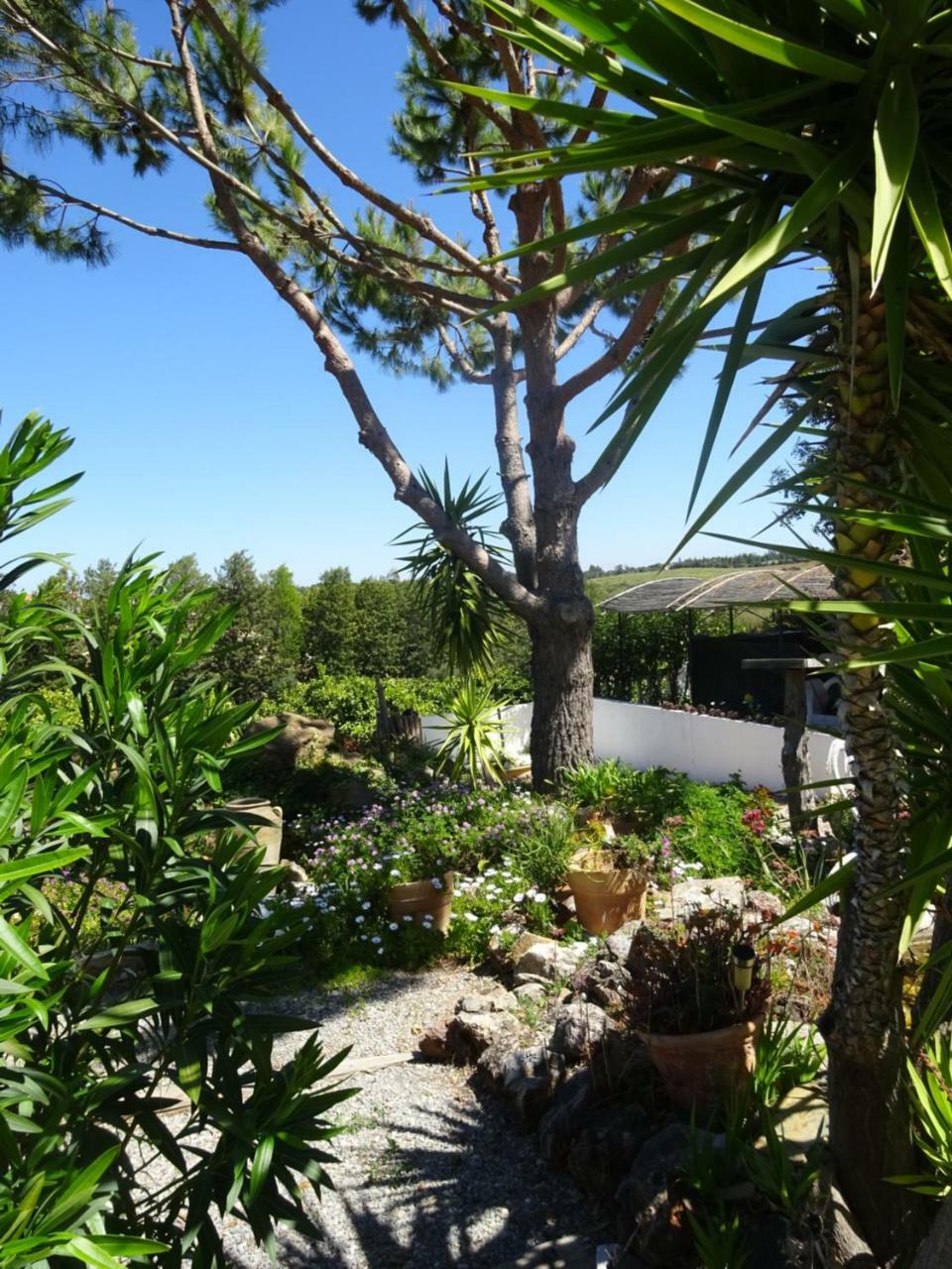 Casa Vale Del Rei Hotel Tavira Ngoại thất bức ảnh